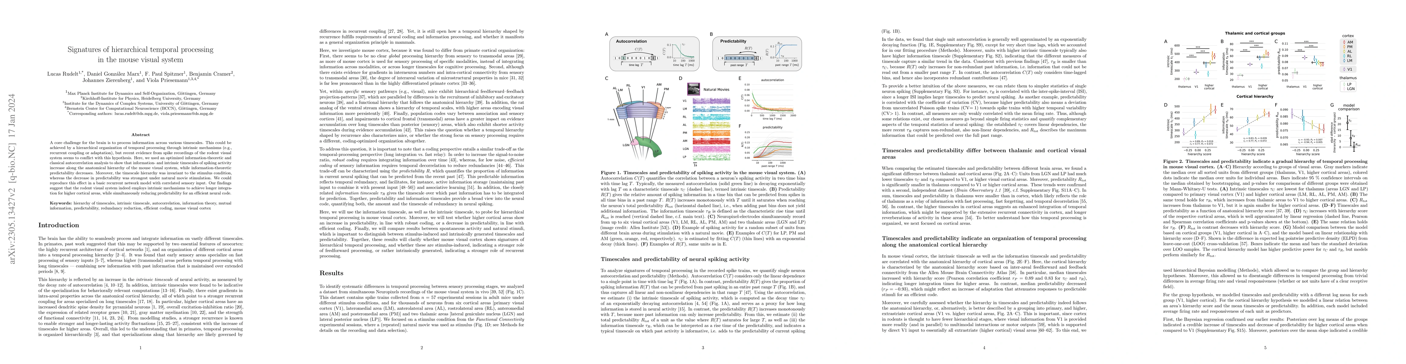 Thumbnail for Signatures of hierarchical temporal processing in the mouse visual
  system
