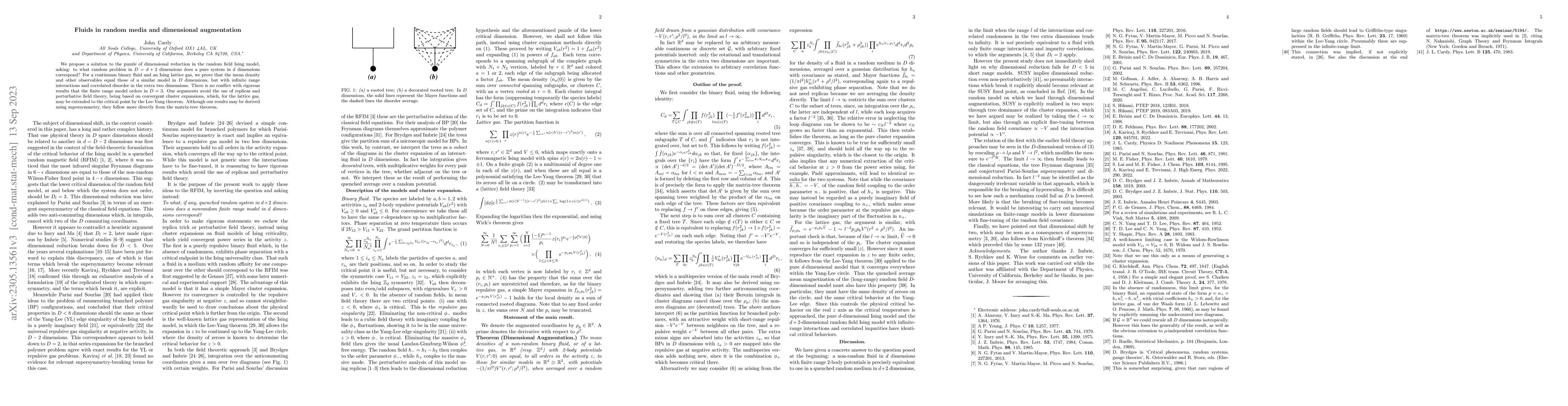 Thumbnail for Fluids in random media and dimensional augmentation
