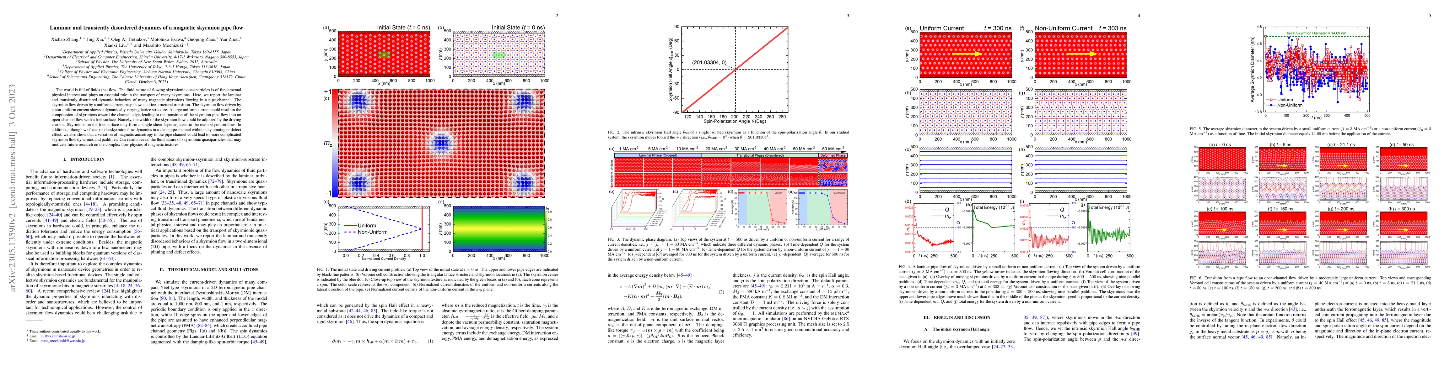 Thumbnail for Laminar and transiently disordered dynamics of a magnetic skyrmion pipe
  flow