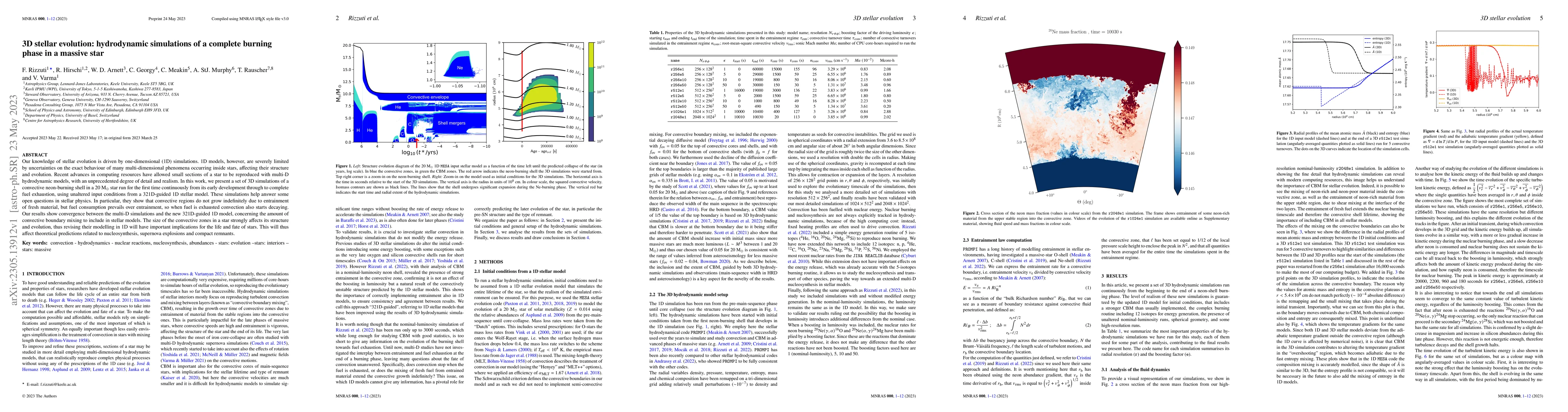 Thumbnail for 3D stellar evolution: hydrodynamic simulations of a complete burning
  phase in a massive star