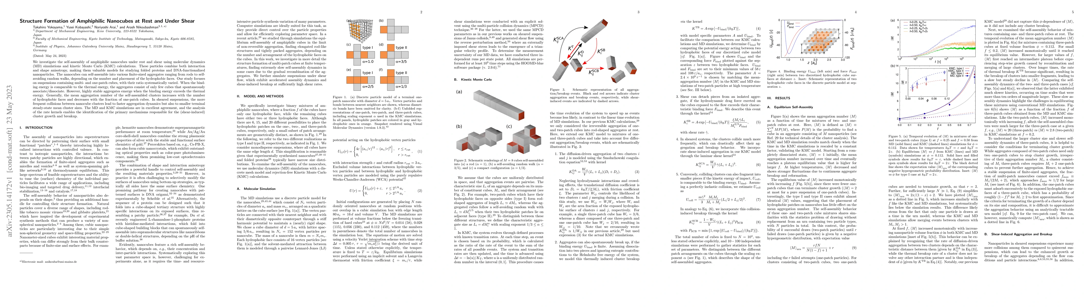 Thumbnail for Structure Formation of Amphiphilic Nanocubes at Rest and Under Shear