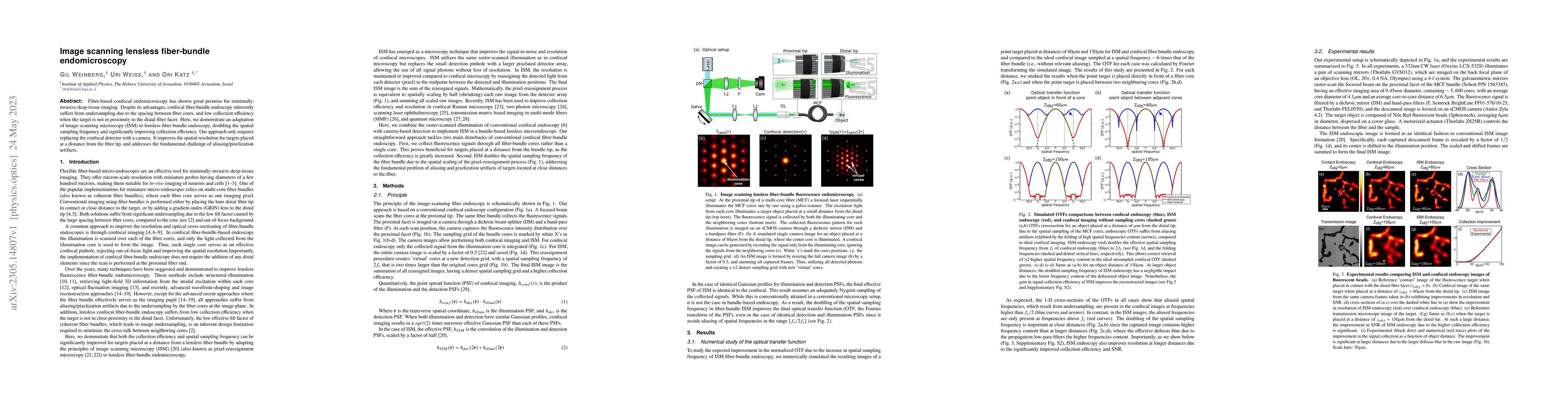 Thumbnail for Image scanning lensless fiber-bundle endomicroscopy