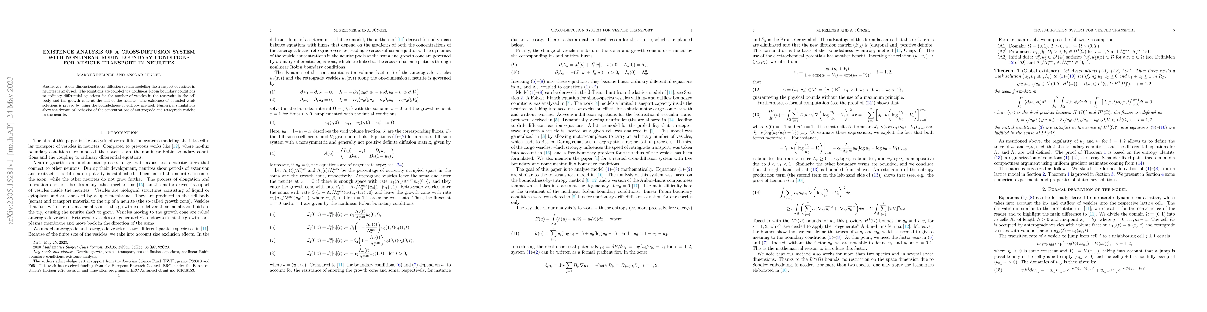 Thumbnail for Existence analysis of a cross-diffusion system with nonlinear Robin
  boundary conditions for vesicle transport in neurites
