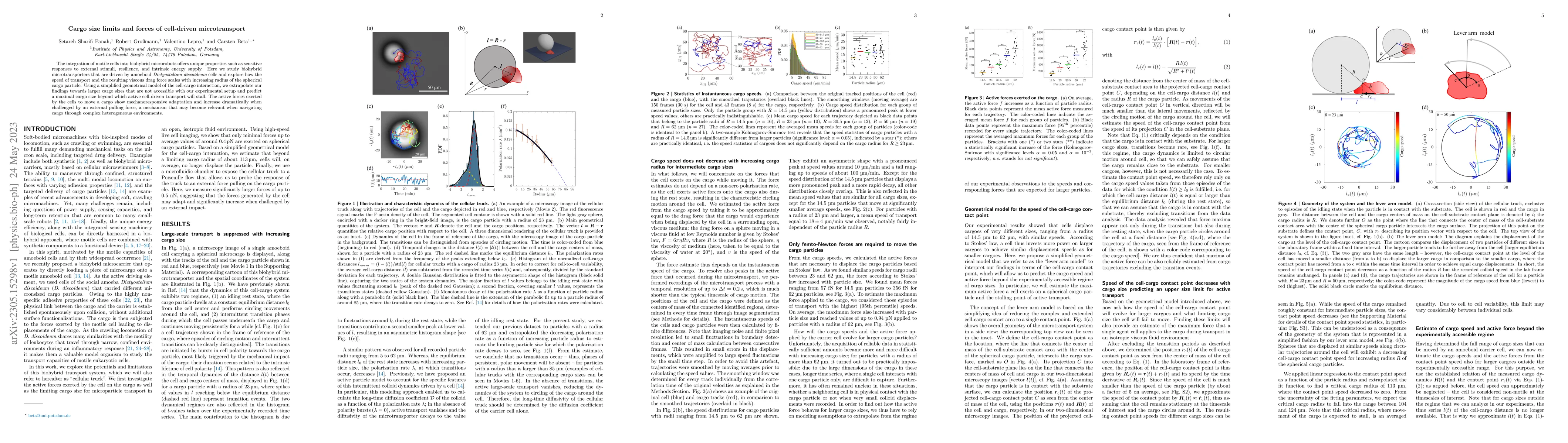Thumbnail for Cargo size limits and forces of cell-driven microtransport