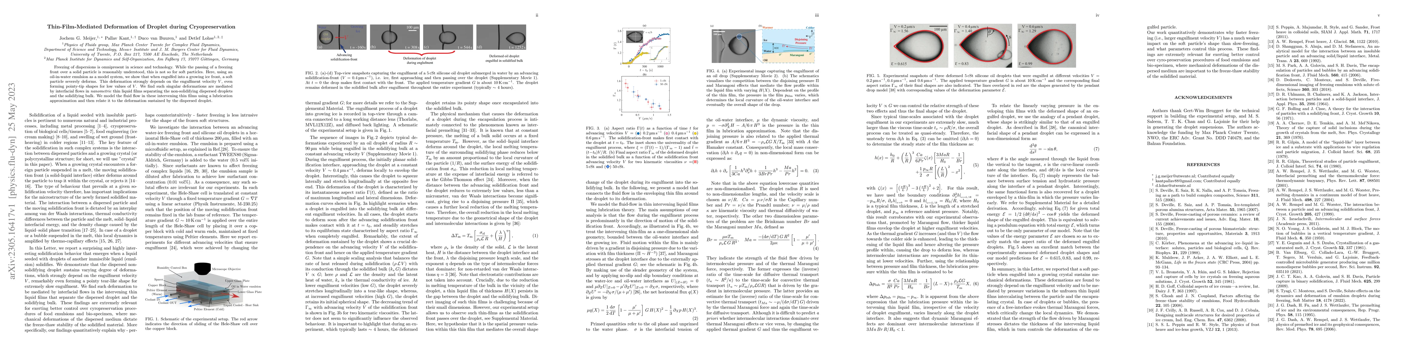 Thumbnail for Thin-Film-Mediated Deformation of Droplet during Cryopreservation