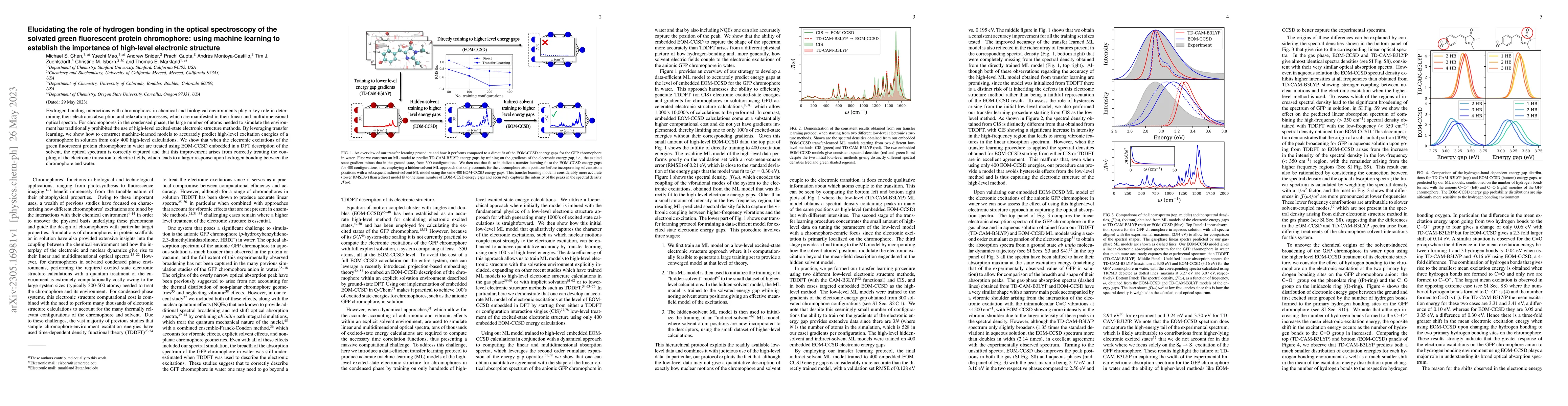 Thumbnail for Elucidating the role of hydrogen bonding in the optical spectroscopy of
  the solvated green fluorescent protein chromophore: using machine learning to
  establish the importance of high-level electronic structure