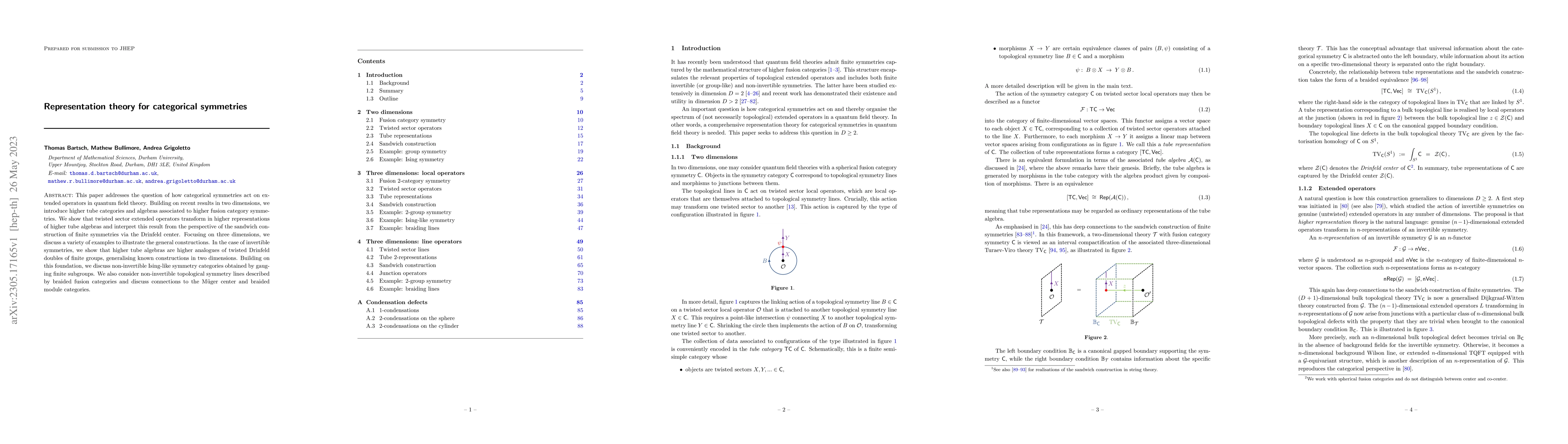 Thumbnail for Representation theory for categorical symmetries