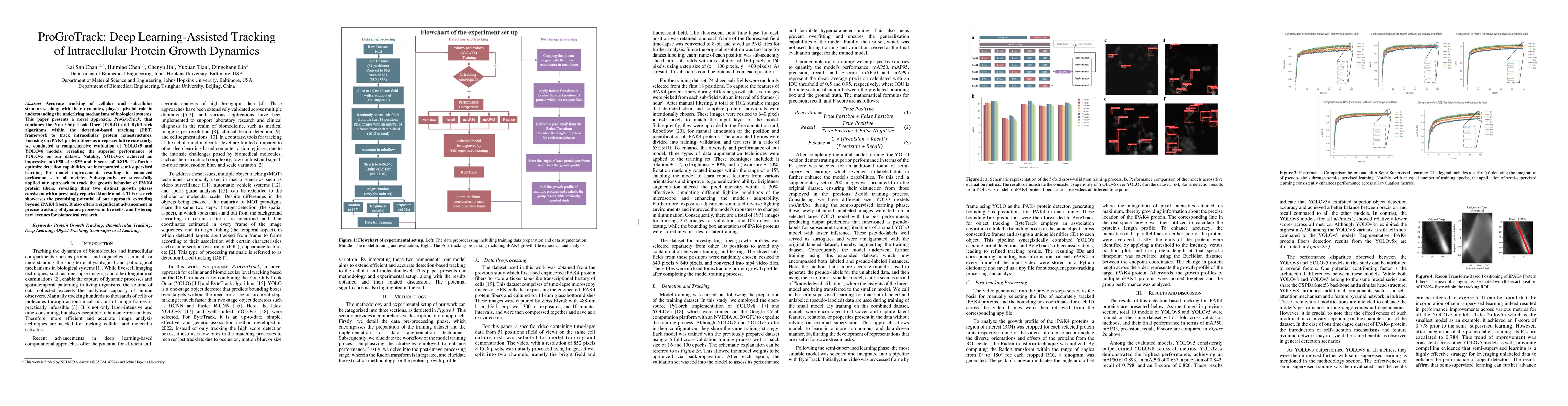 Thumbnail for ProGroTrack: Deep Learning-Assisted Tracking of Intracellular Protein
  Growth Dynamics