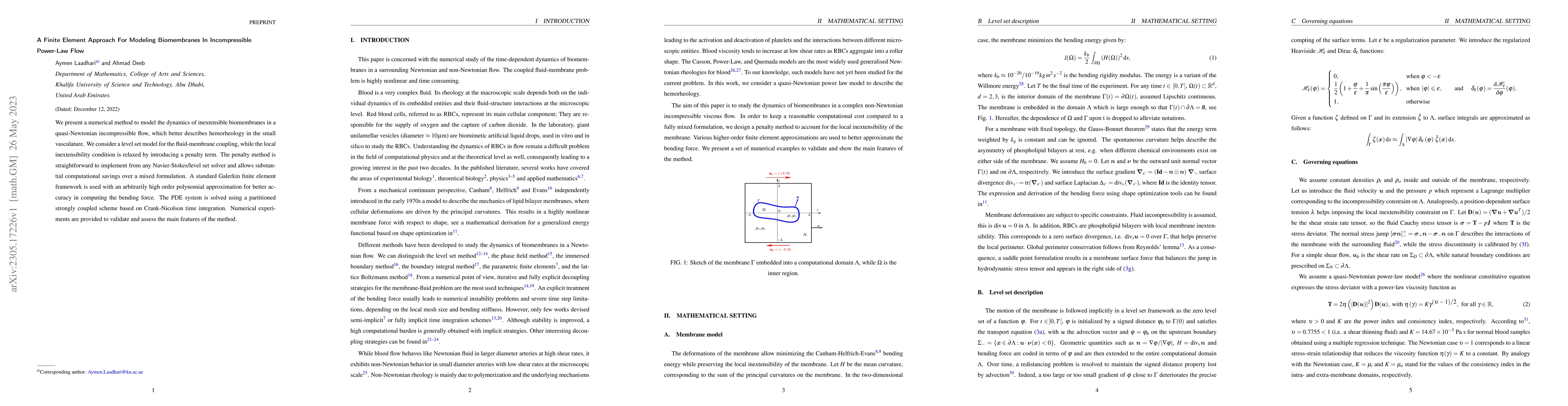 Thumbnail for A Finite Element Approach For Modeling Biomembranes In Incompressible
  Power-Law Flow