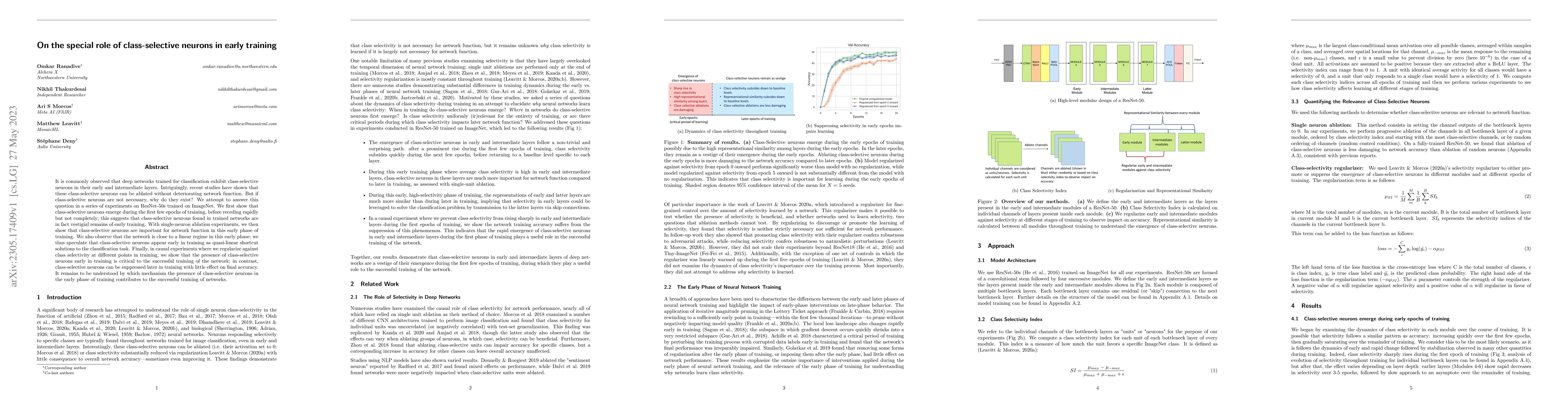 Thumbnail for On the special role of class-selective neurons in early training
