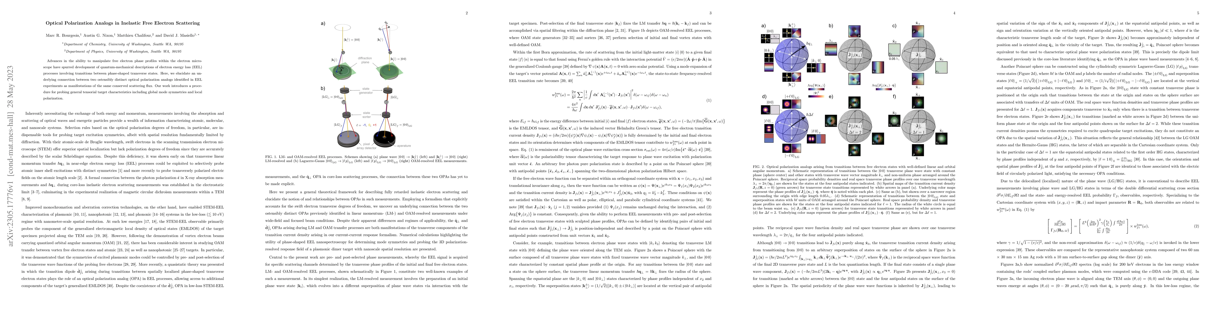 Thumbnail for Optical Polarization Analogs in Inelastic Free Electron Scattering