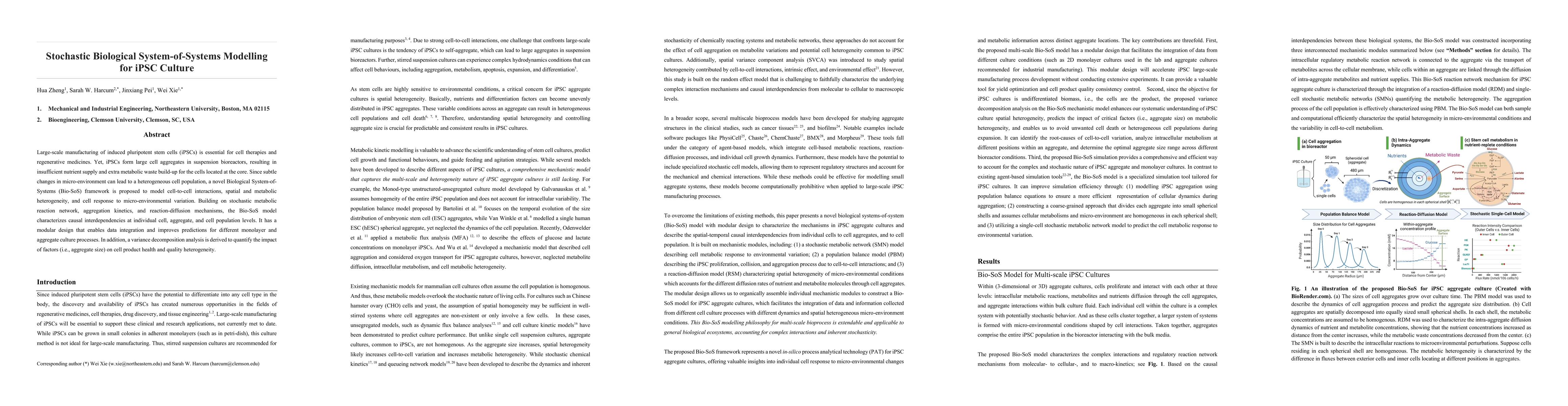 Thumbnail for Stochastic Biological System-of-Systems Modelling for iPSC Culture
