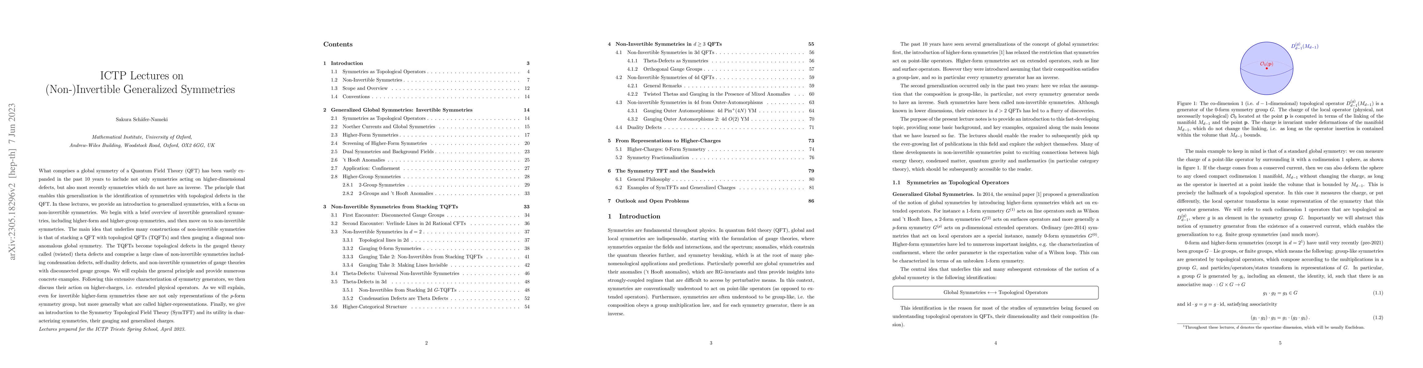 Thumbnail for ICTP Lectures on (Non-)Invertible Generalized Symmetries