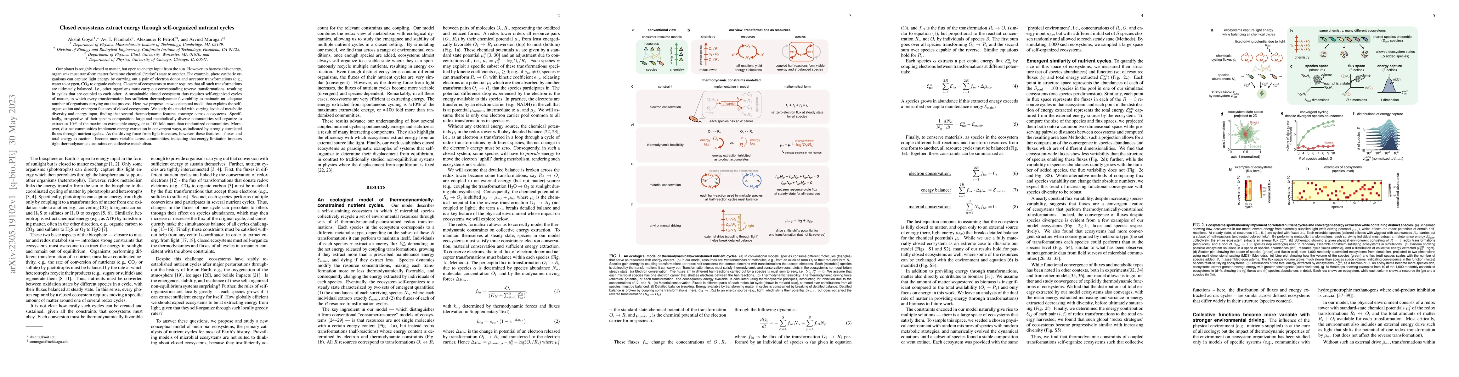 Thumbnail for Closed ecosystems extract energy through self-organized nutrient cycles