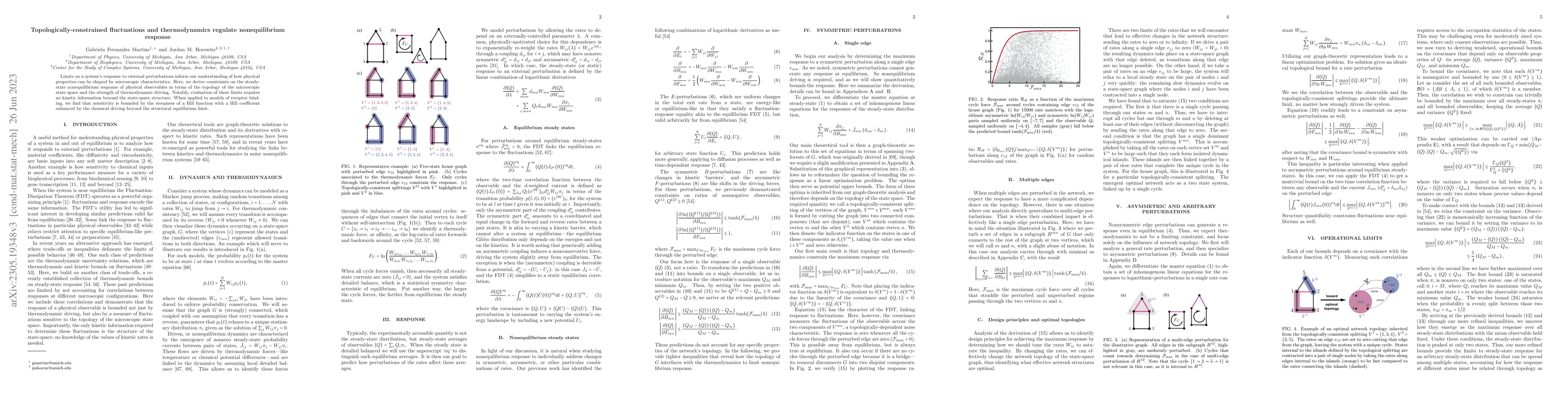 Thumbnail for Topologically-constrained fluctuations and thermodynamics regulate
  nonequilibrium response