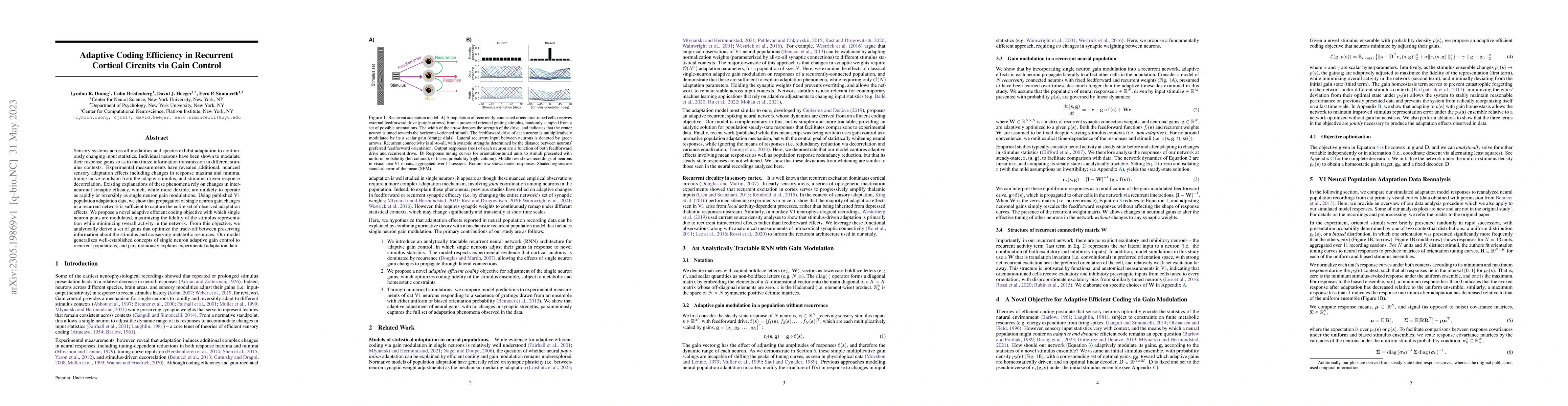 Thumbnail for Adaptive coding efficiency in recurrent cortical circuits via gain
  control