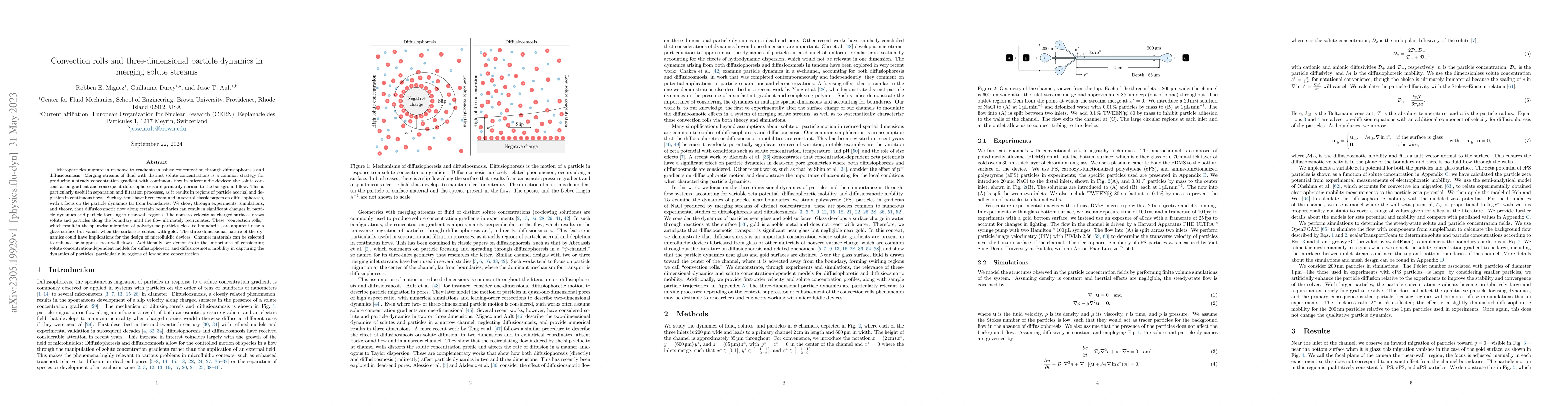 Thumbnail for Convection rolls and three-dimensional particle dynamics in merging
  solute streams