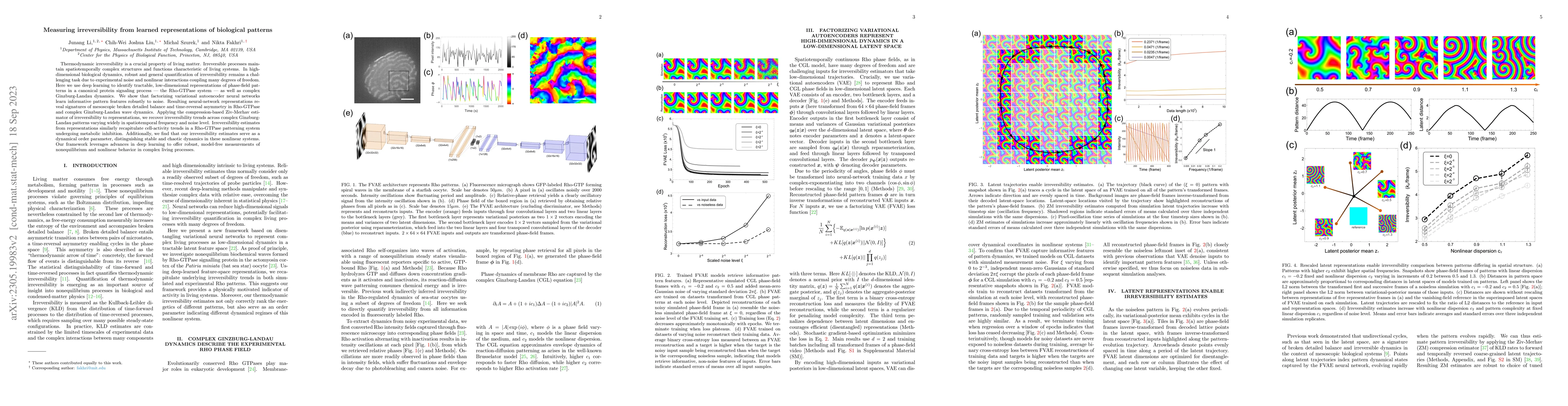 Thumbnail for Measuring irreversibility from learned representations of biological
  patterns