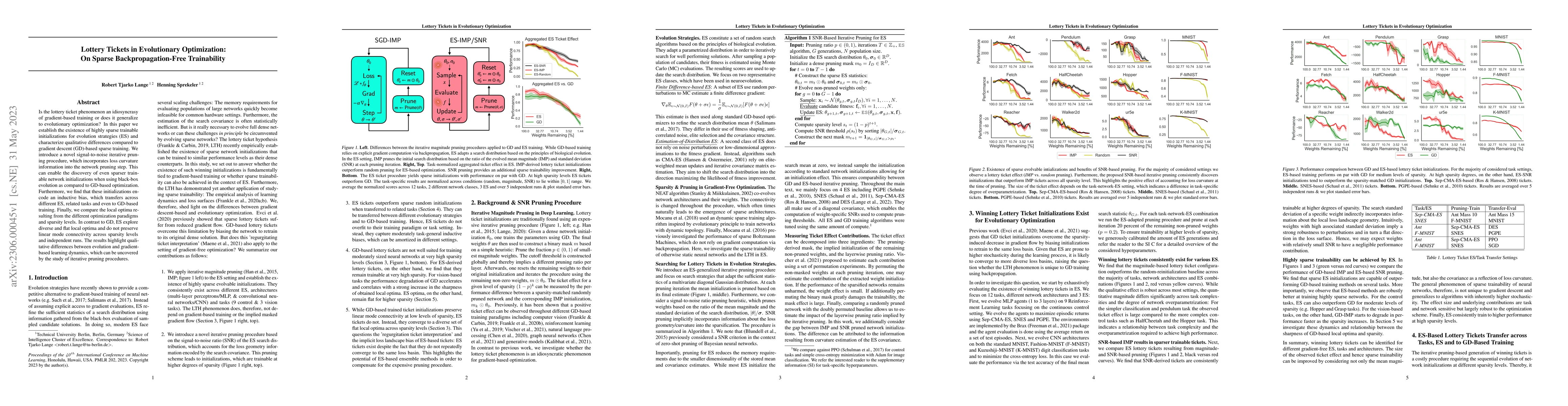 Thumbnail for Lottery Tickets in Evolutionary Optimization: On Sparse
  Backpropagation-Free Trainability