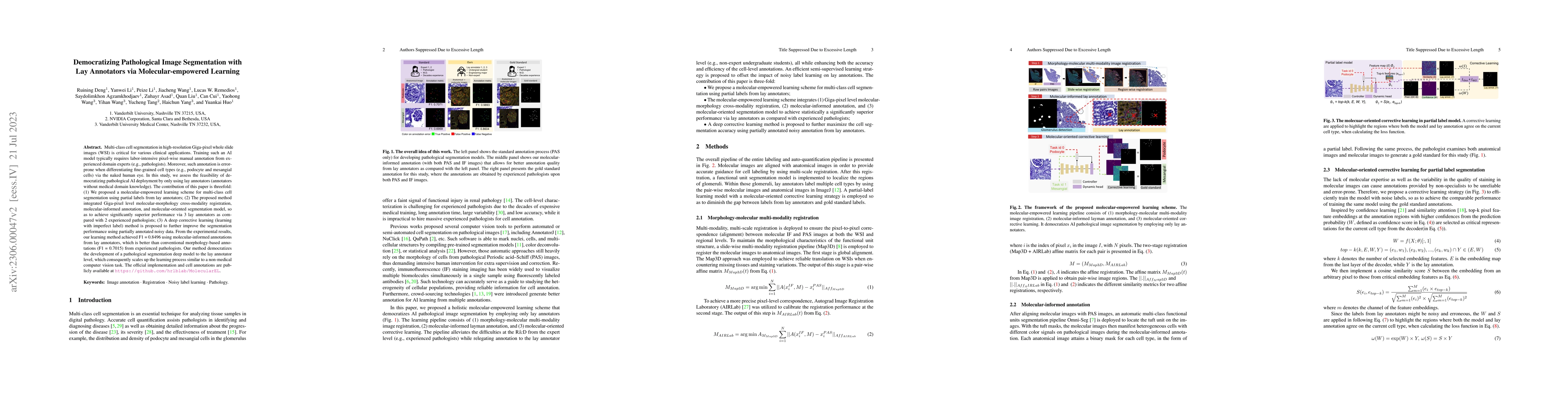 Thumbnail for Democratizing Pathological Image Segmentation with Lay Annotators via
  Molecular-empowered Learning