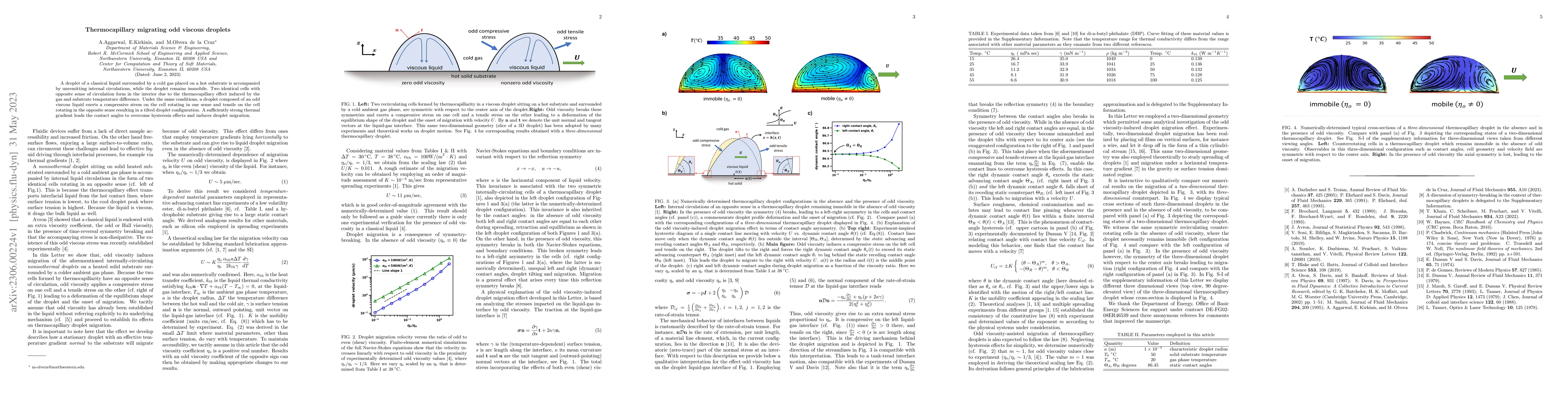 Thumbnail for Thermocapillary migrating odd viscous droplets