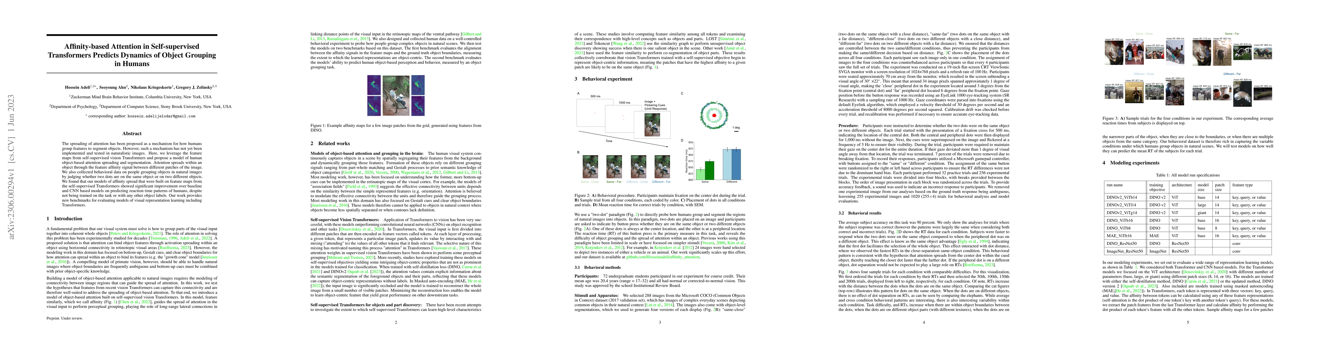 Thumbnail for Affinity-based Attention in Self-supervised Transformers Predicts
  Dynamics of Object Grouping in Humans