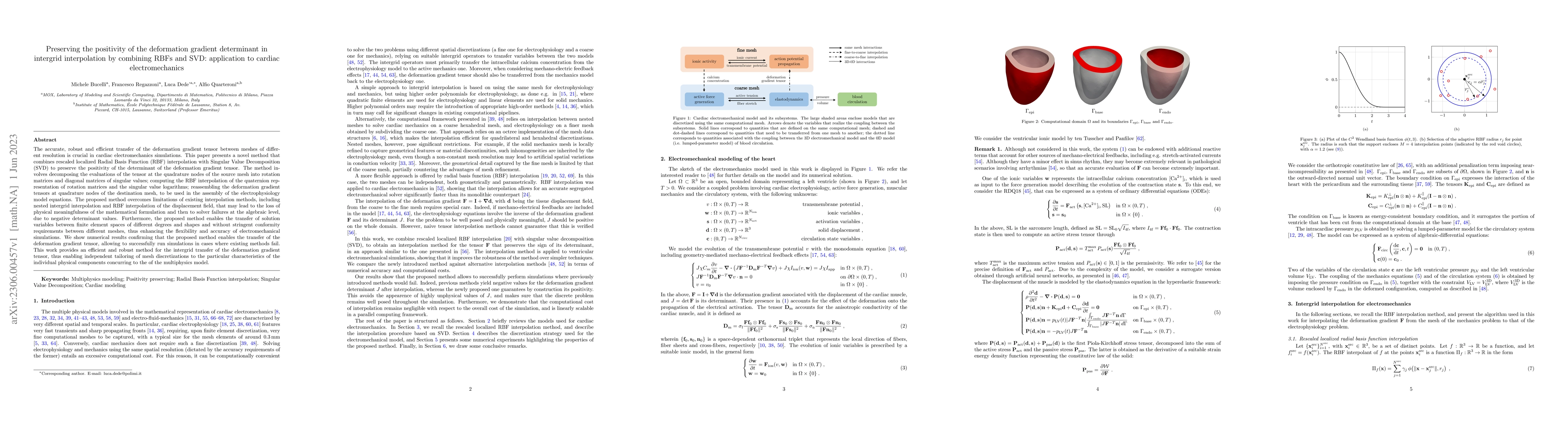 Thumbnail for Preserving the positivity of the deformation gradient determinant in
  intergrid interpolation by combining RBFs and SVD: application to cardiac
  electromechanics