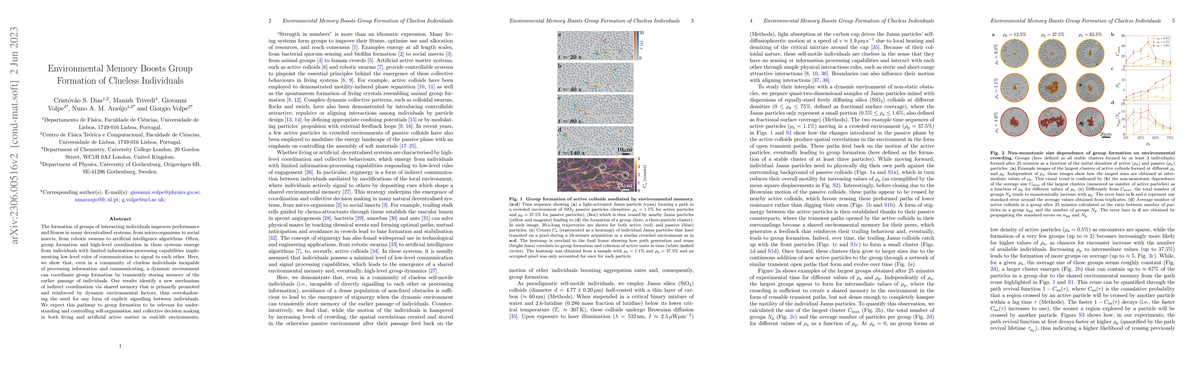 Thumbnail for Environmental Memory Boosts Group Formation of Clueless Individuals