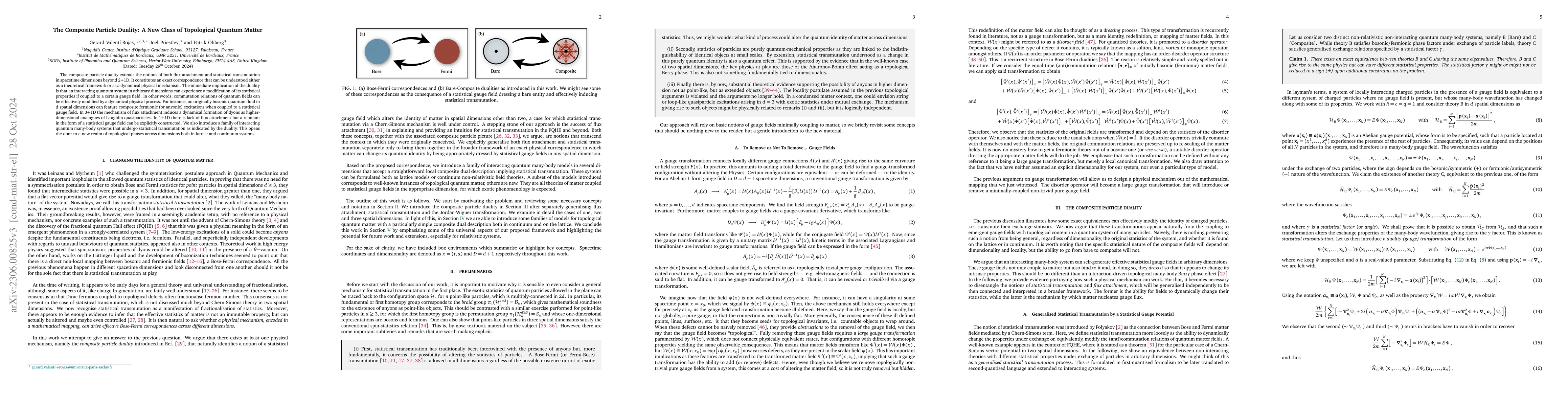 Thumbnail for The Composite Particle Duality: A New Class of Topological Quantum
  Matter