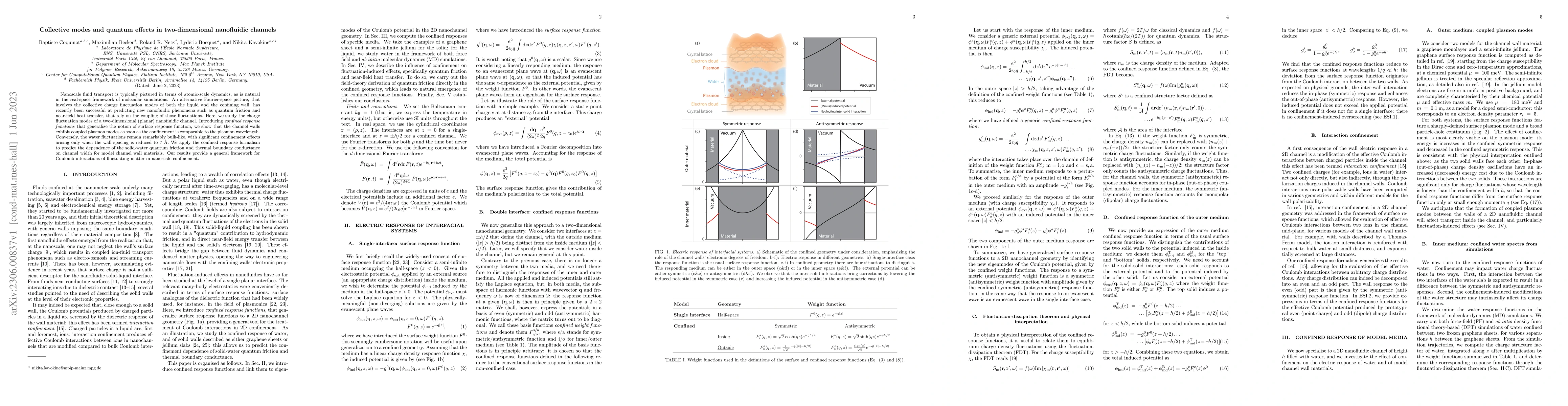 Thumbnail for Collective modes and quantum effects in two-dimensional nanofluidic
  channels