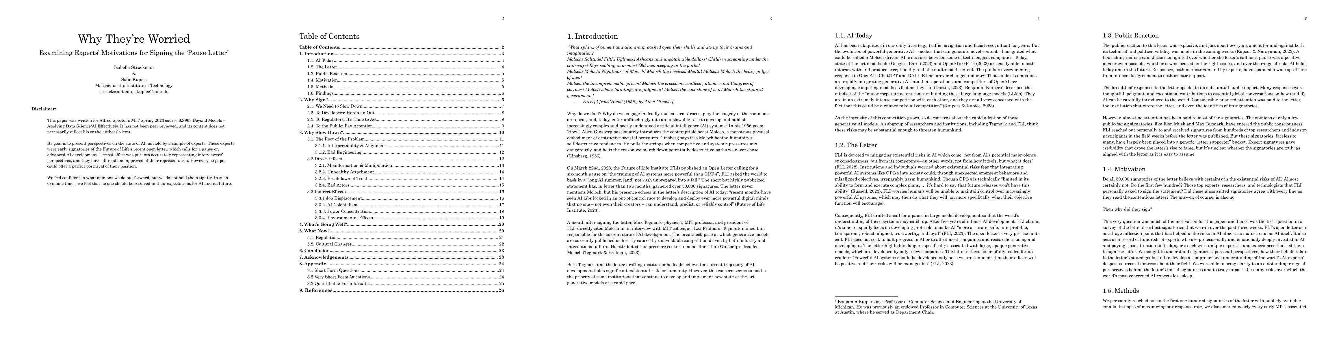 Thumbnail for Why They're Worried: Examining Experts' Motivations for Signing the
  'Pause Letter'