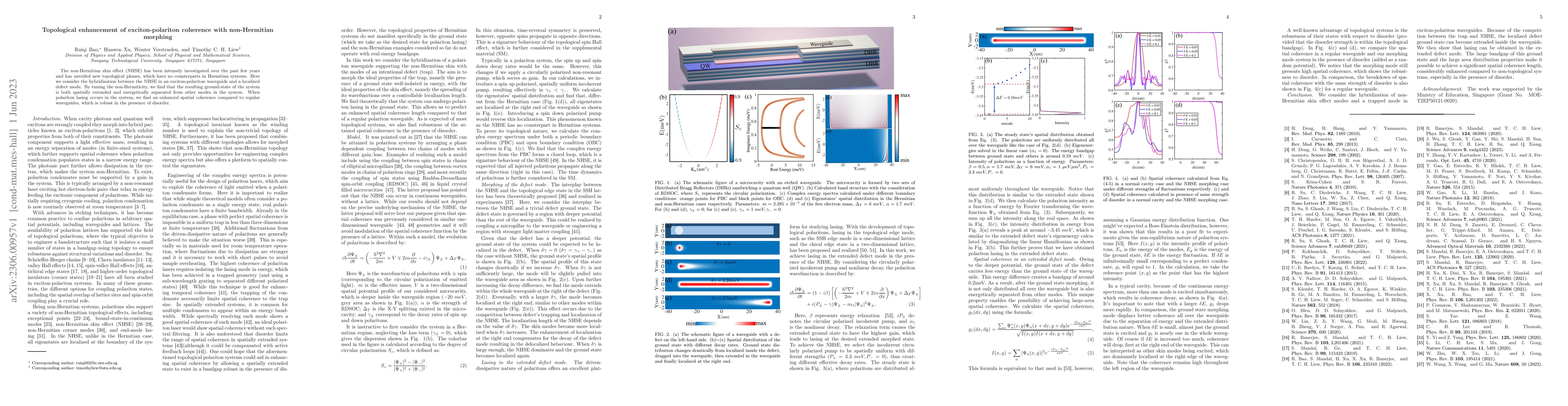 Thumbnail for Topological enhancement of exciton-polariton coherence with
  non-Hermitian morphing