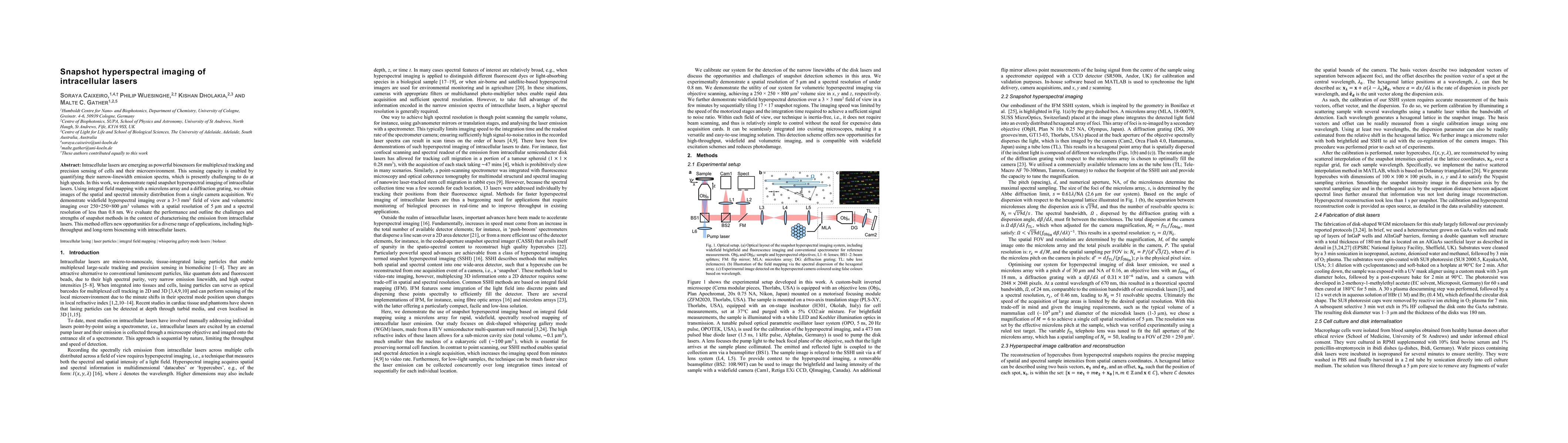 Thumbnail for Snapshot hyperspectral imaging of intracellular lasers