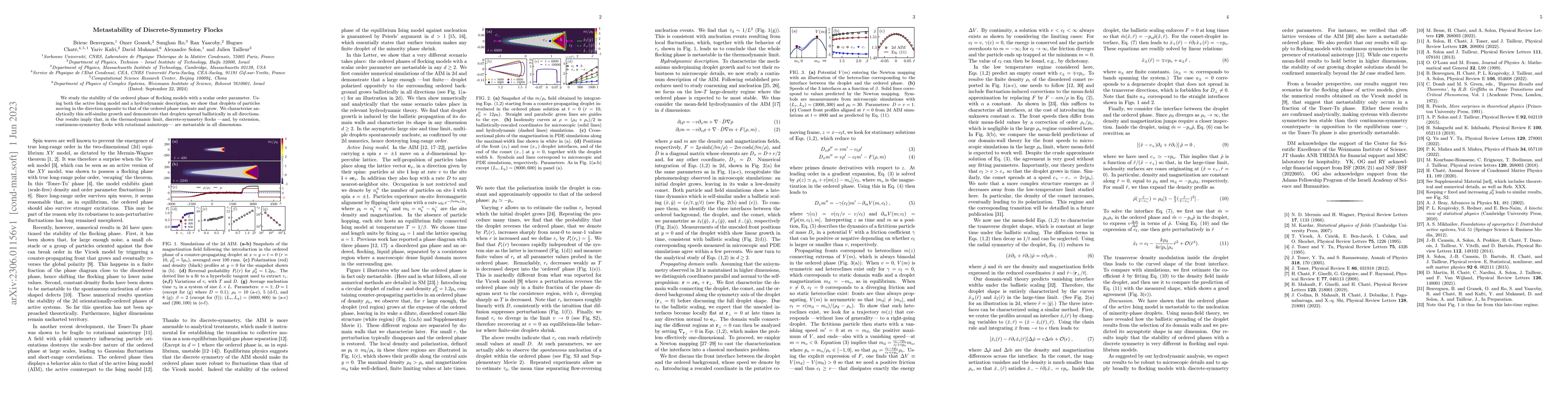 Thumbnail for Metastability of Discrete-Symmetry Flocks