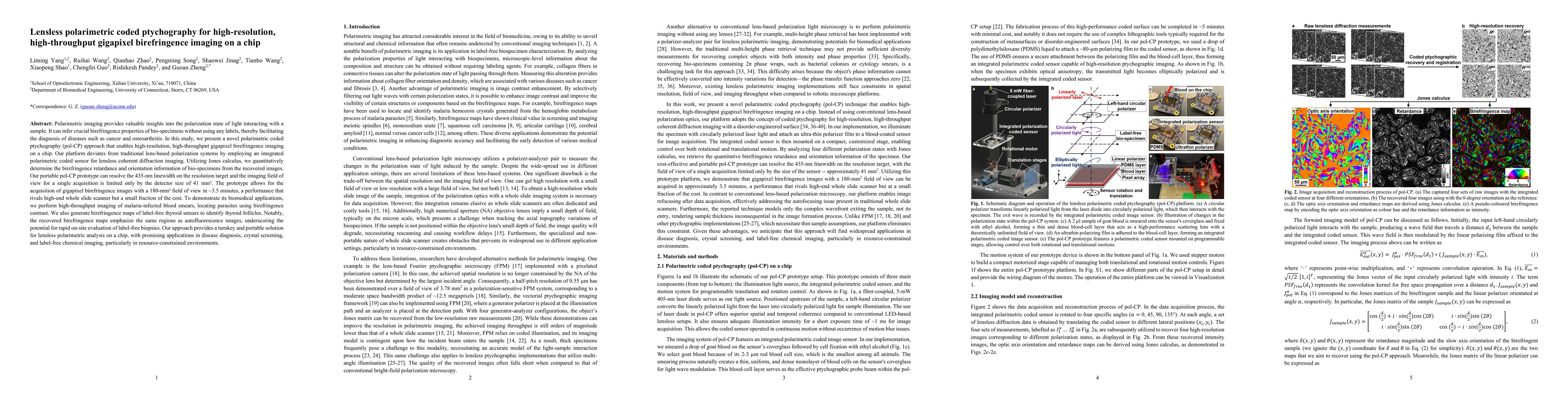 Thumbnail for Lensless polarimetric coded ptychography for high-resolution,
  high-throughput gigapixel birefringence imaging on a chip