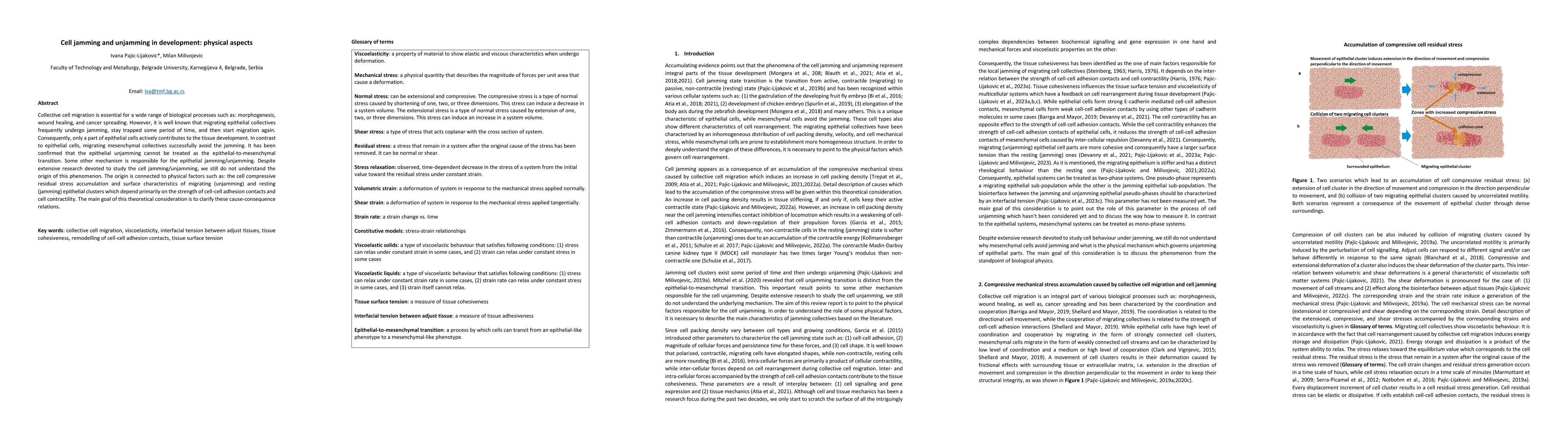 Thumbnail for Cell jamming and unjamming in development: physical aspects