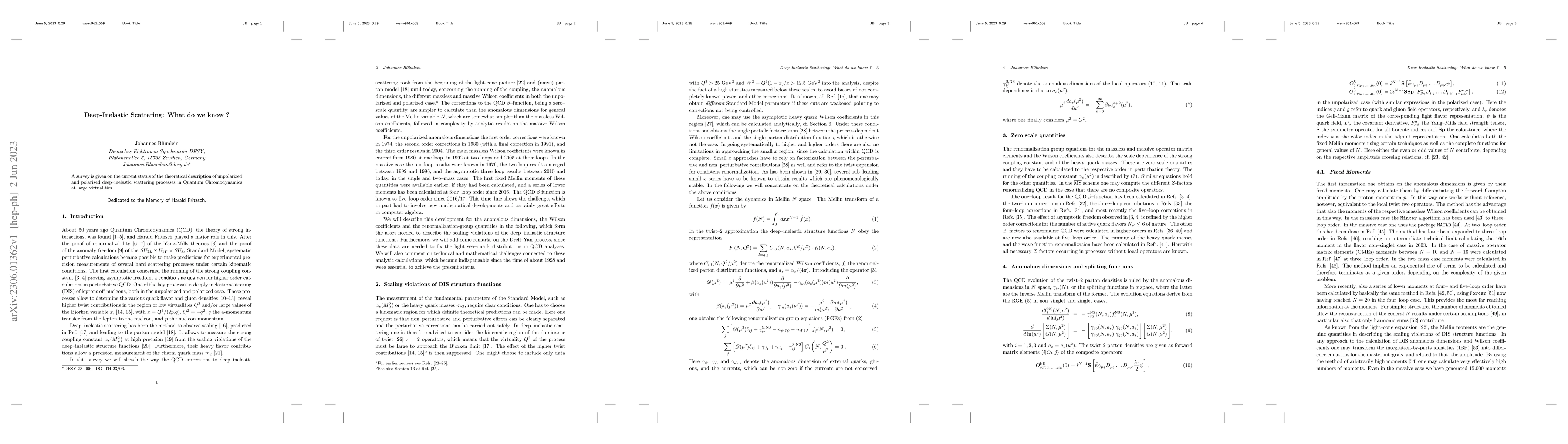 Thumbnail for Deep-Inelastic Scattering: What do we know ?