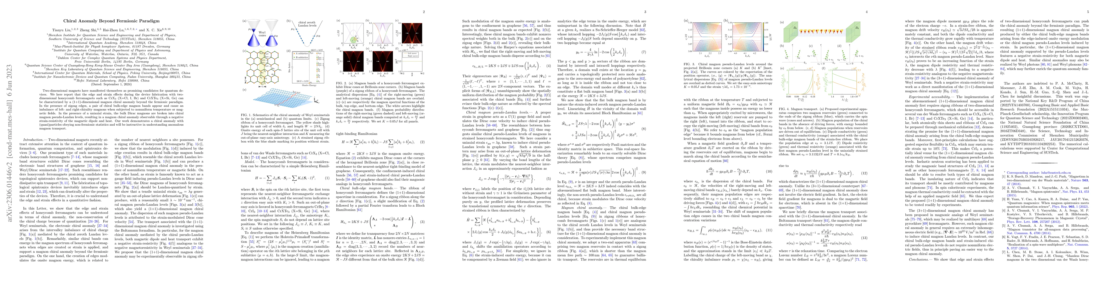 Thumbnail for Chiral Anomaly Beyond Fermionic Paradigm