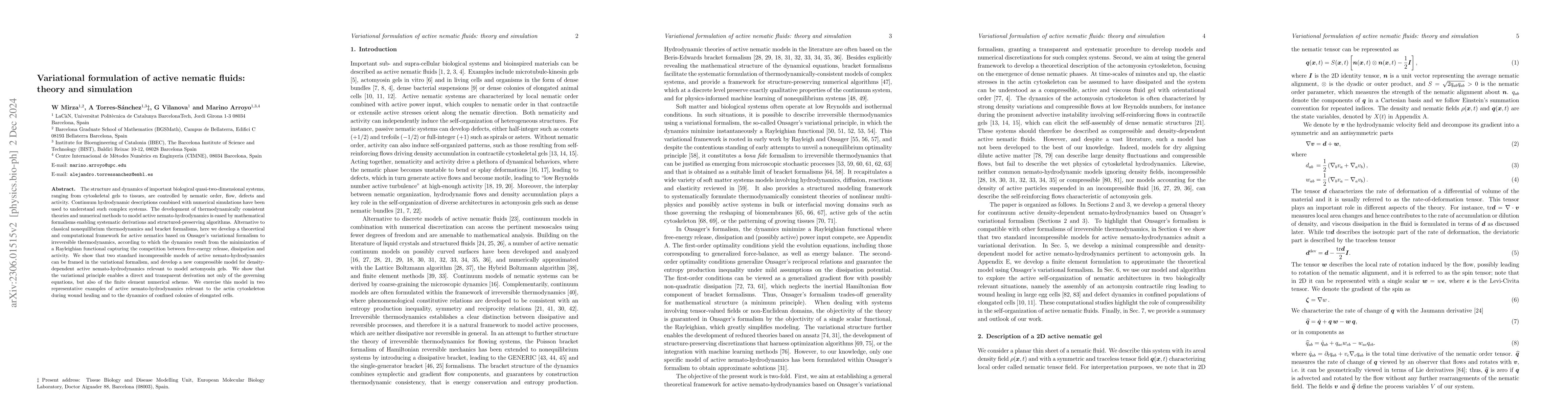 Thumbnail for Variational formulation of active nematics: theory and simulation