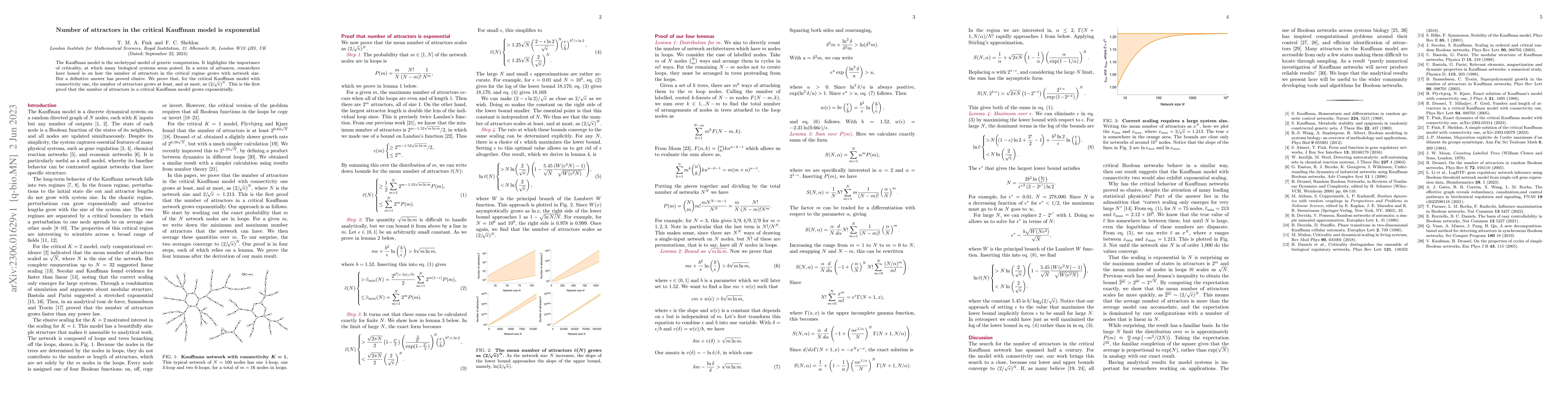 Thumbnail for Number of attractors in the critical Kauffman model is exponential