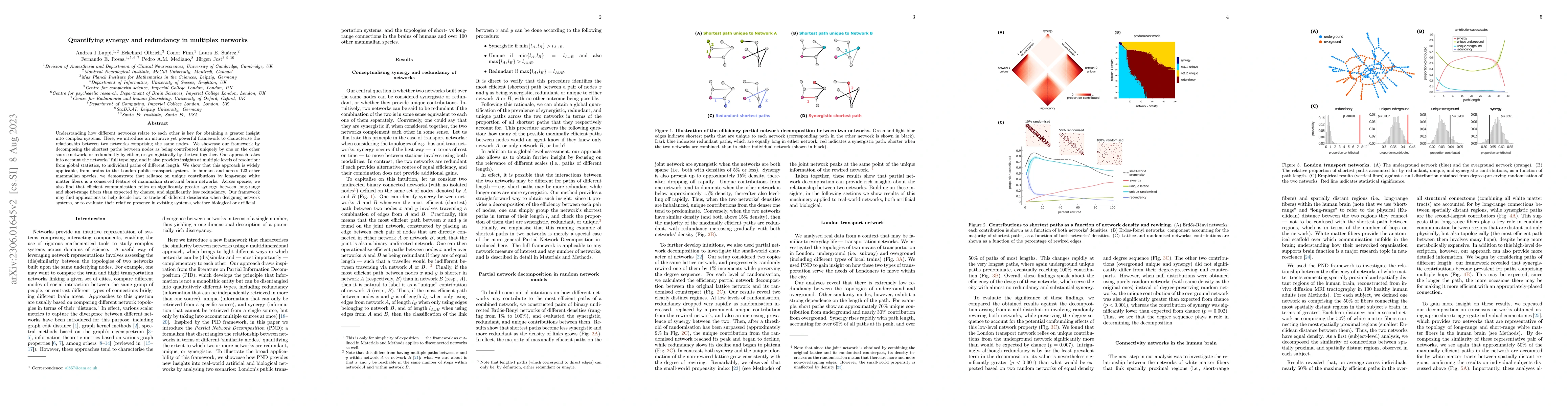 Thumbnail for Quantifying synergy and redundancy in multiplex networks