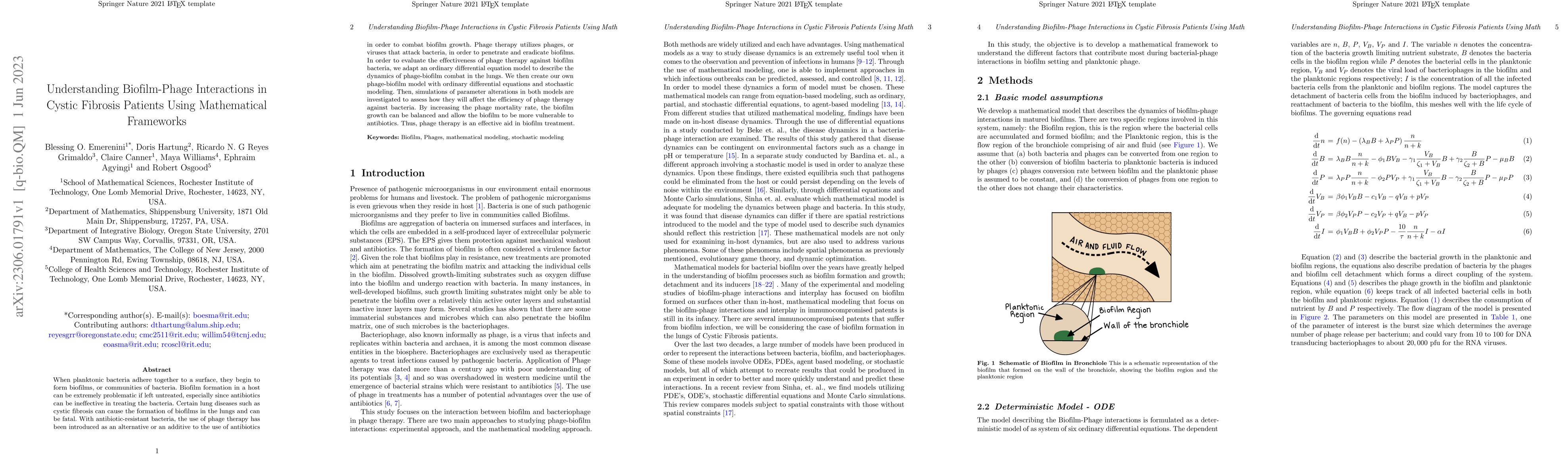 Thumbnail for Understanding Biofilm-Phage Interactions in Cystic Fibrosis Patients
  Using Mathematical Frameworks