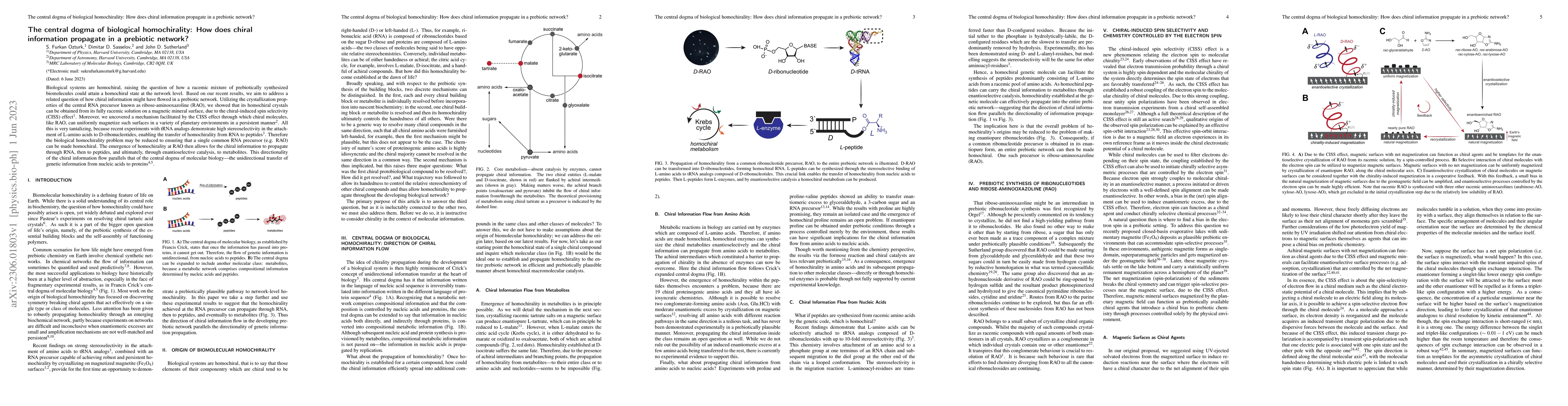 Thumbnail for The central dogma of biological homochirality: How does chiral
  information propagate in a prebiotic network?