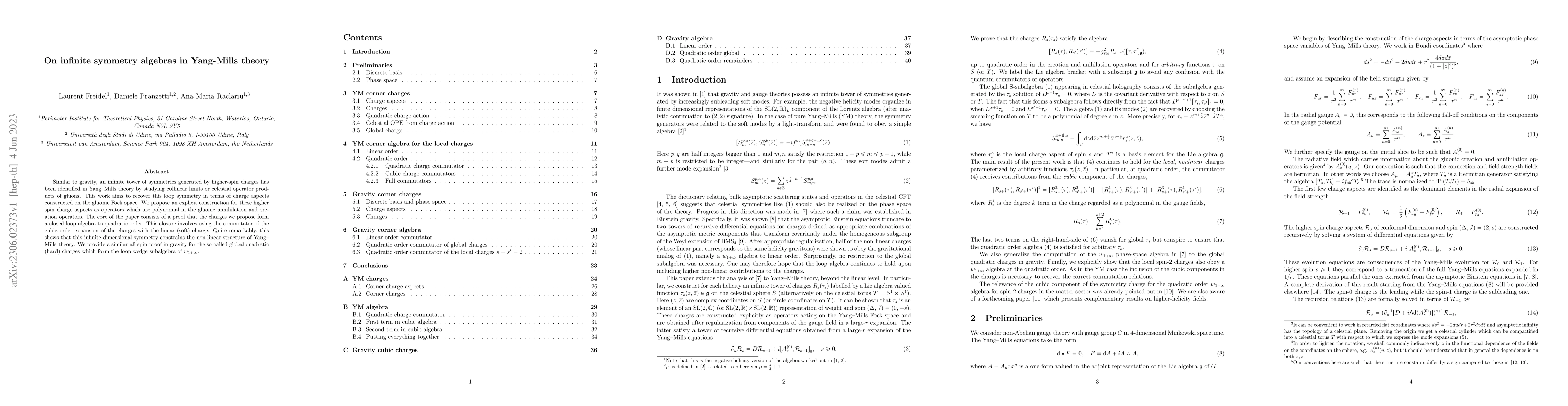 Thumbnail for On infinite symmetry algebras in Yang-Mills theory