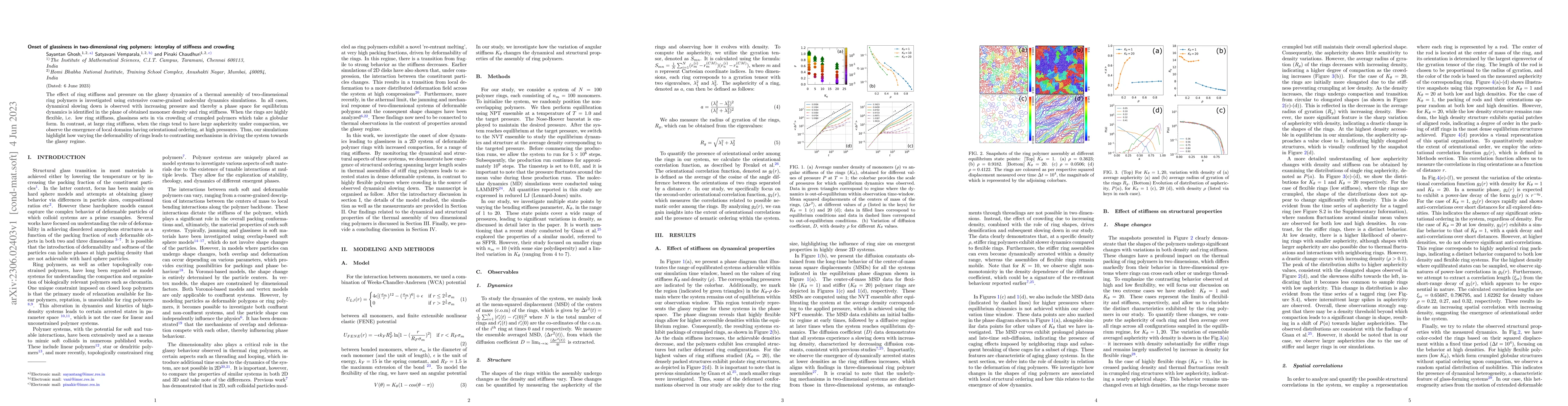 Thumbnail for Onset of glassiness in two-dimensional ring polymers: interplay of
  stiffness and crowding