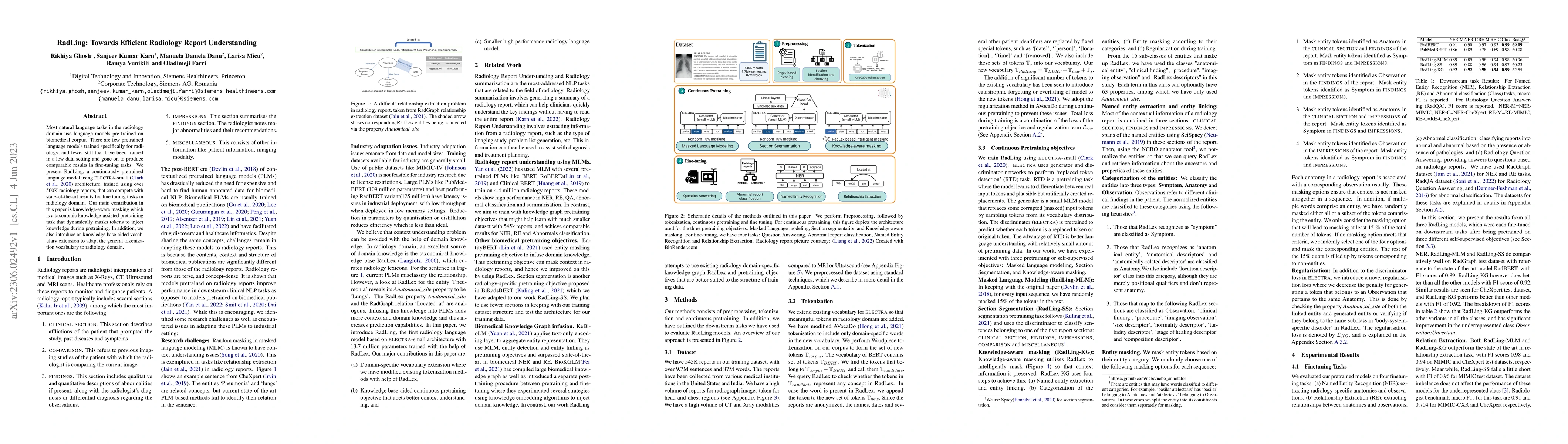 Thumbnail for RadLing: Towards Efficient Radiology Report Understanding