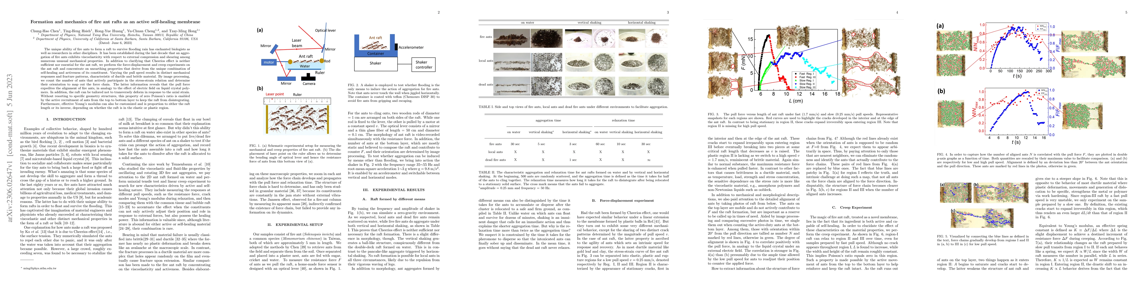 Thumbnail for Formation and mechanics of fire ant rafts as an active self-healing
  membrane