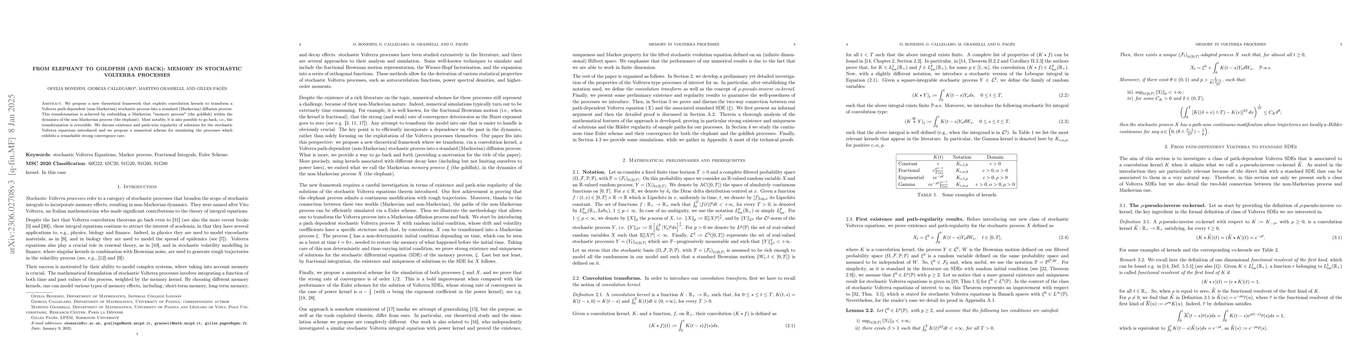 Thumbnail for From elephant to goldfish (and back): memory in stochastic Volterra
  processes
