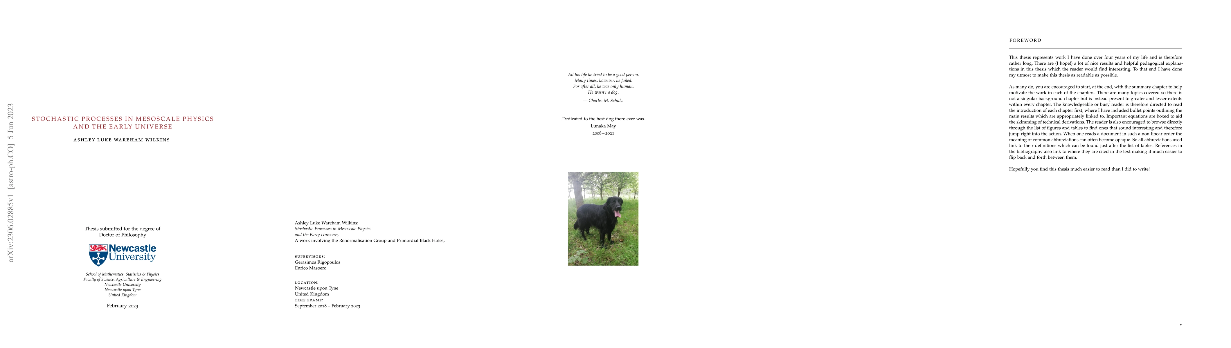 Thumbnail for Stochastic Processes in Mesoscale Physics and the Early Universe
