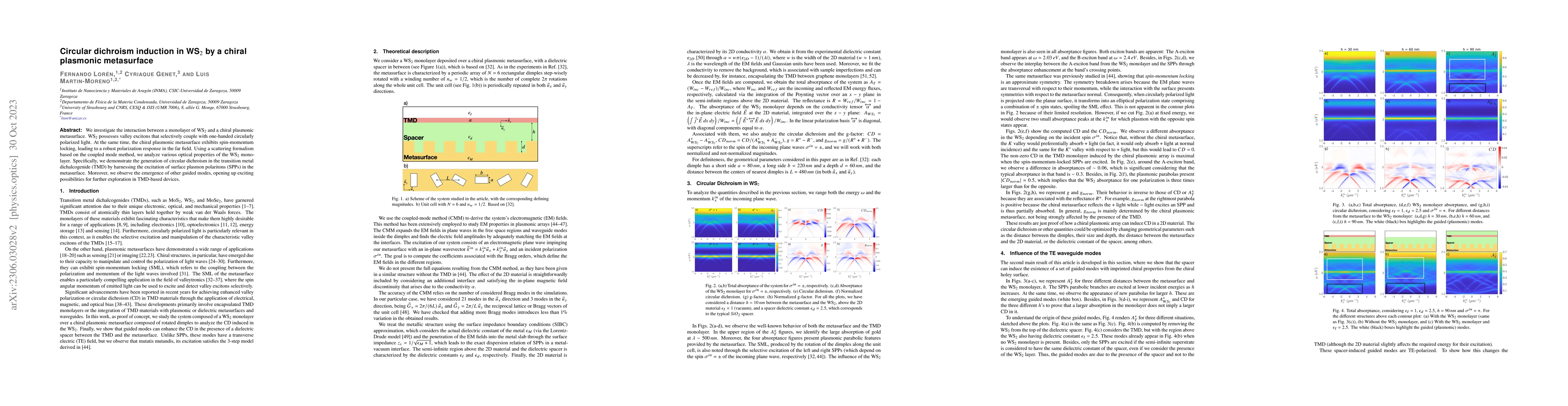 Thumbnail for Circular dichroism induction in WS2 by a chiral plasmonic metasurface